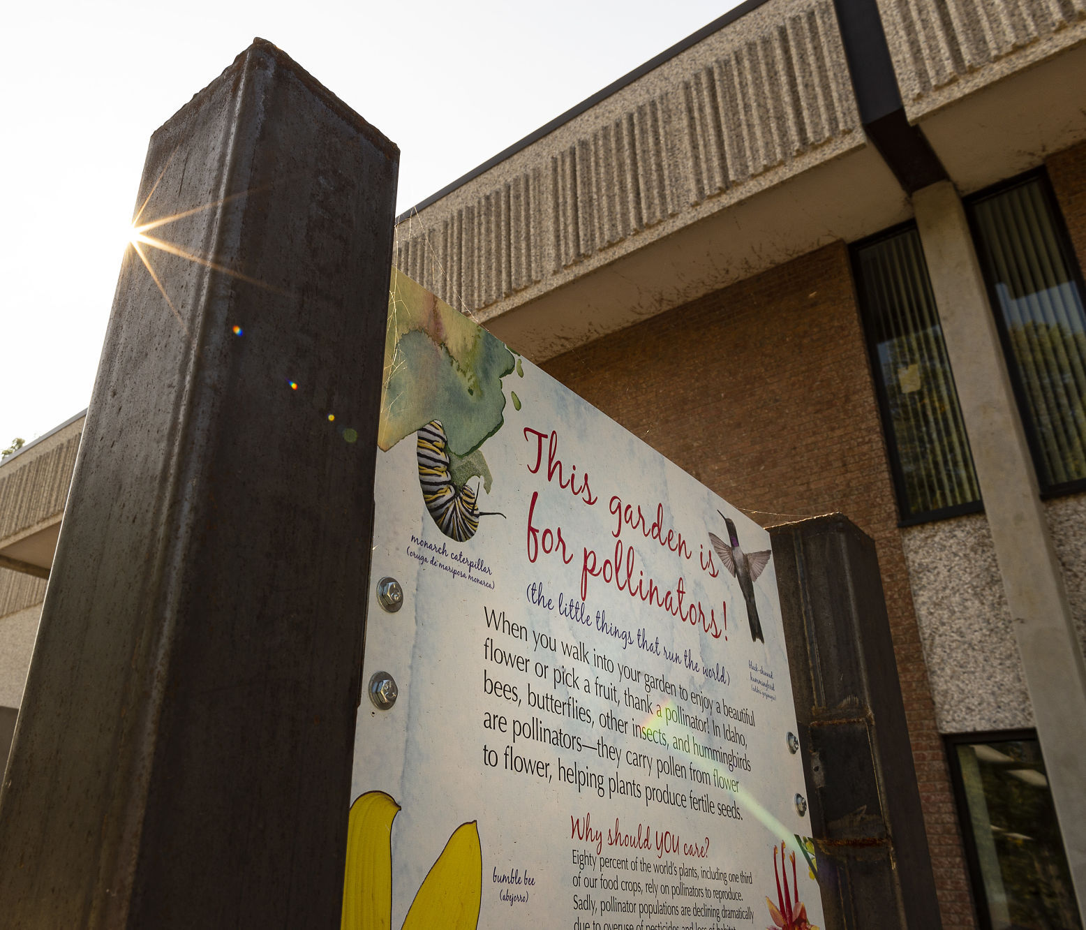 New pollinator garden at CSI